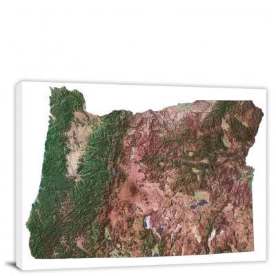 Oregon-Satellite Map, 2022 - Canvas Wrap