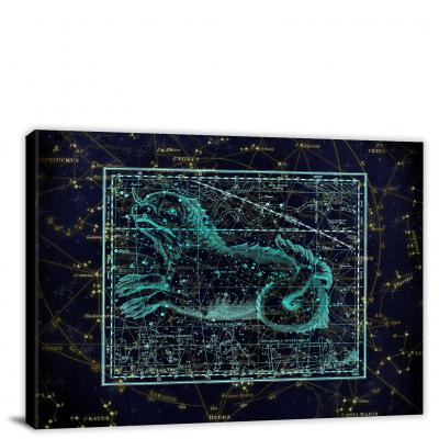 CWA865-constellation-amphibian-map-00
