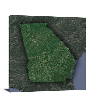 Georgia-State Satellite Map, 2022 - Canvas Wrap