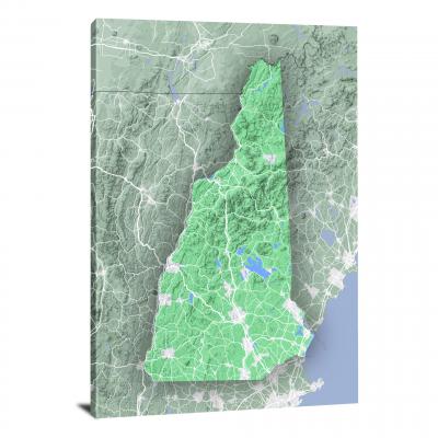 CWC378-new-hampshire-state-map-terrain-00