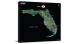 Florida-USGS Landsat Mosaic, 2022 - Canvas Wrap