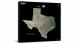 Texas-USGS Landsat Mosaic, 2022 - Canvas Wrap
