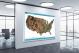 USA-National Atlas Satellite View, 2022 - Canvas Wrap1