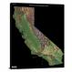 California-USGS Shaded Relief, 2022 - Canvas Wrap