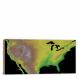 USA-Globe Elevations Map, 2022 - Canvas Wrap