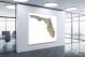 Florida-Satellite Map, 2022 - Canvas Wrap1