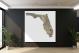 Florida-Satellite Map, 2022 - Canvas Wrap2