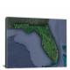 Florida-State Satellite Map, 2022 - Canvas Wrap