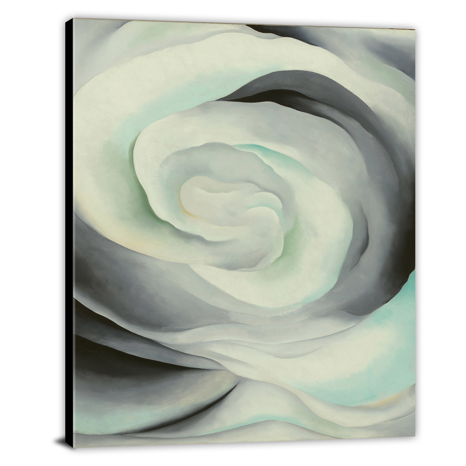 Abstraction White Rose By Georgia OKeeffe 1927 Canvas Wrap   CW9292 Abstraction White Rose By Georgia O Keeffe 00 