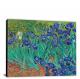 Irises by Vincent Van Gogh, 1889 - Canvas Wrap