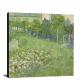 Daubigneys Garden by Vincent Van Gogh, 1890 - Canvas Wrap