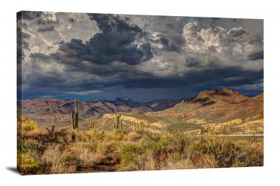 Cactus Landscape, 2021 - Canvas Wrap
