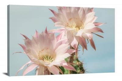 Cactus Bloom, 2021 - Canvas Wrap