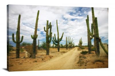 Cactus Road, 2021 - Canvas Wrap