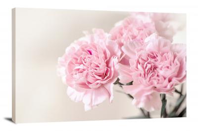 Pink Carnation Cloves, 2021 - Canvas Wrap
