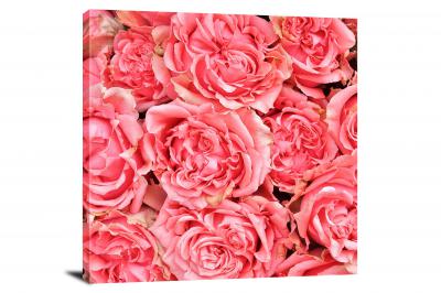 Bouquet of Carnations, 2021 - Canvas Wrap