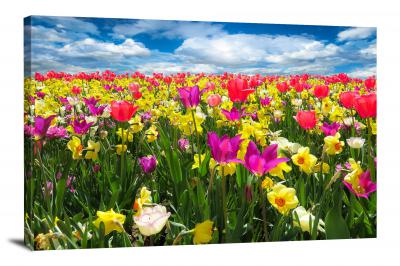 Daffodils Flowers Field, 2021 - Canvas Wrap