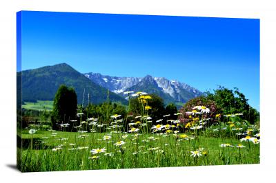 Daisies in the Meadow, 2021 - Canvas Wrap
