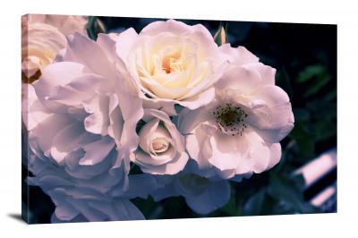 Gardenia Bloom, 2021 - Canvas Wrap