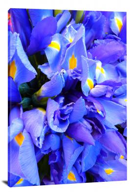 Iris Blue, 2021 - Canvas Wrap