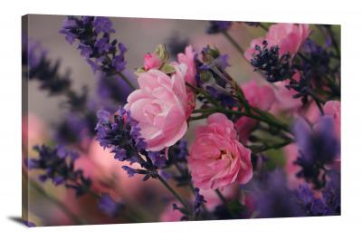 Lavender Flower, 2021 - Canvas Wrap
