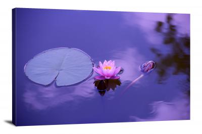 Lily Pond, 2021 - Canvas Wrap