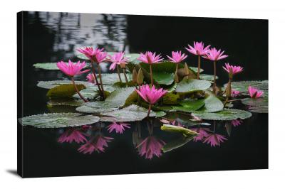 Lily Pads, 2021 - Canvas Wrap