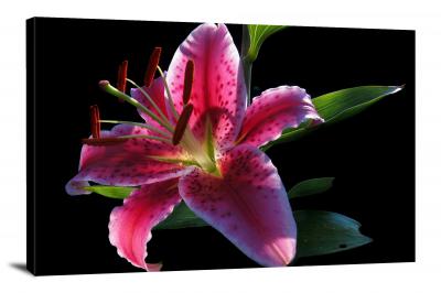 Lily Flower, 2021 - Canvas Wrap