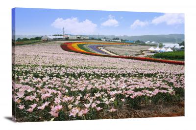 Lily Landscape, 2021 - Canvas Wrap