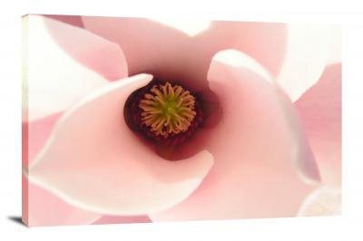 Magnolias Flower, 2021 - Canvas Wrap
