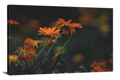 Marigolds Plants, 2021 - Canvas Wrap