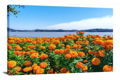 Marigolds Incheon, 2021 - Canvas Wrap