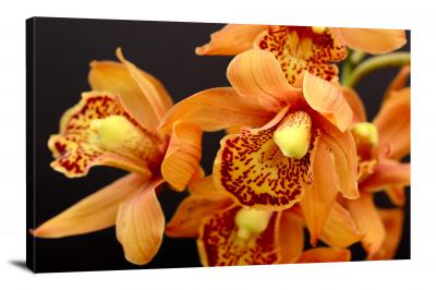 Orchids Flower, 2021 - Canvas Wrap