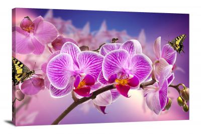 Orchids Orchid, 2021 - Canvas Wrap