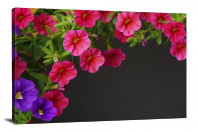 Petunias Flower, 2021 - Canvas Wrap