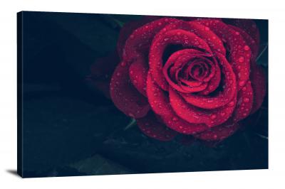 Roses Nature, 2021 - Canvas Wrap
