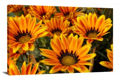 Sunflowers Petals, 2021 - Canvas Wrap