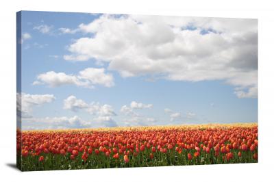 Tulips Spring, 2021 - Canvas Wrap