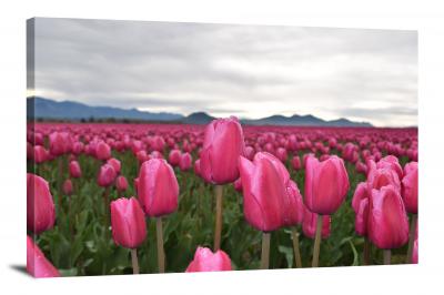 Tulips Vernon, 2021 - Canvas Wrap