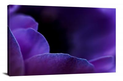 Violets Purple, 2021 - Canvas Wrap