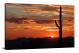 Cactus Sunset, 2021 - Canvas Wrap