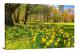Daffodils Easter Bells, 2021 - Canvas Wrap