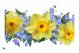 Daffodils Veronica, 2021 - Canvas Wrap
