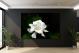 Gardenia Dewdrops, 2021 - Canvas Wrap2