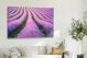 Lavender Field, 2021 - Canvas Wrap3