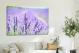 Lavender Bloom, 2021 - Canvas Wrap3