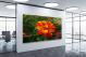 Marigolds Plant, 2021 - Canvas Wrap1