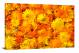 Marigolds Calendula, 2021 - Canvas Wrap