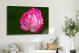 Roses Rose, 2021 - Canvas Wrap3