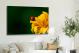 Sunflowers Insect, 2021 - Canvas Wrap3